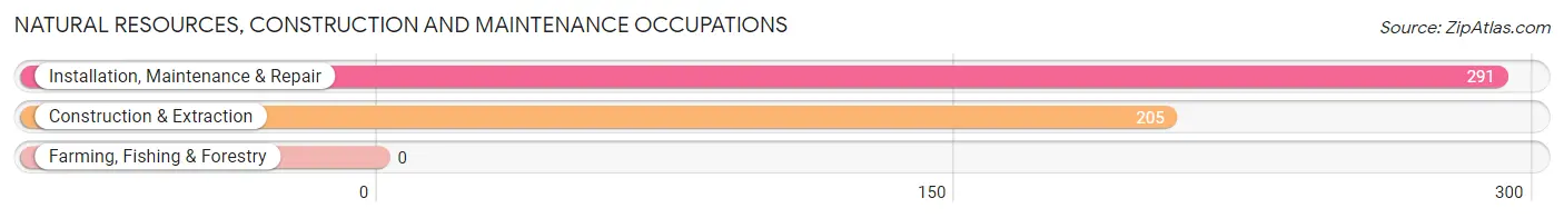 Natural Resources, Construction and Maintenance Occupations in Zip Code 44313