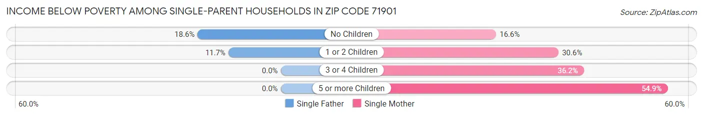 Income Below Poverty Among Single-Parent Households in Zip Code 71901