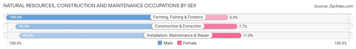 Natural Resources, Construction and Maintenance Occupations by Sex in Zip Code 77550