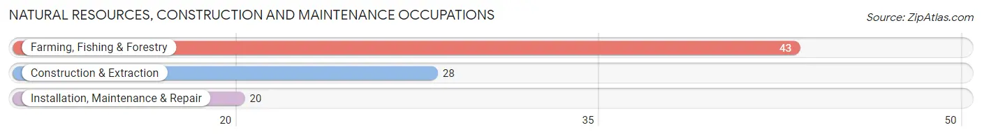 Natural Resources, Construction and Maintenance Occupations in Zip Code 83610