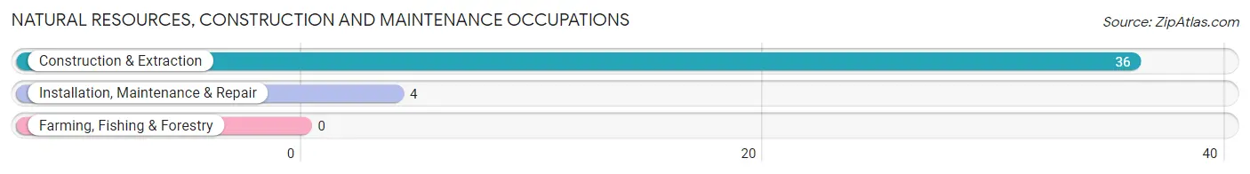 Natural Resources, Construction and Maintenance Occupations in Zip Code 87056