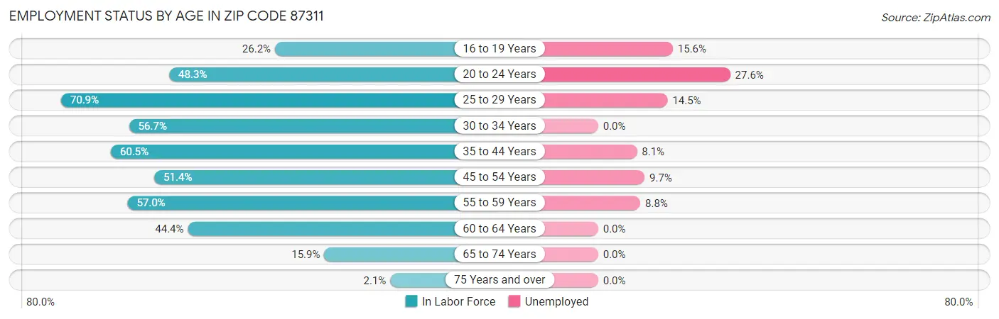 Employment Status by Age in Zip Code 87311
