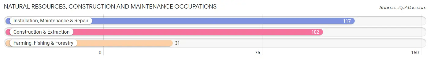 Natural Resources, Construction and Maintenance Occupations in Zip Code 87311