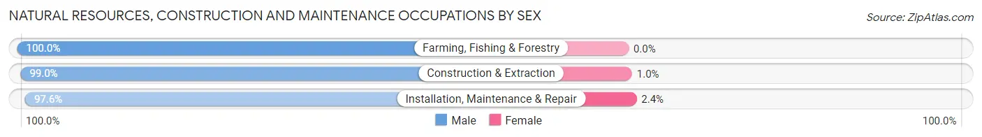 Natural Resources, Construction and Maintenance Occupations by Sex in Zip Code 87401