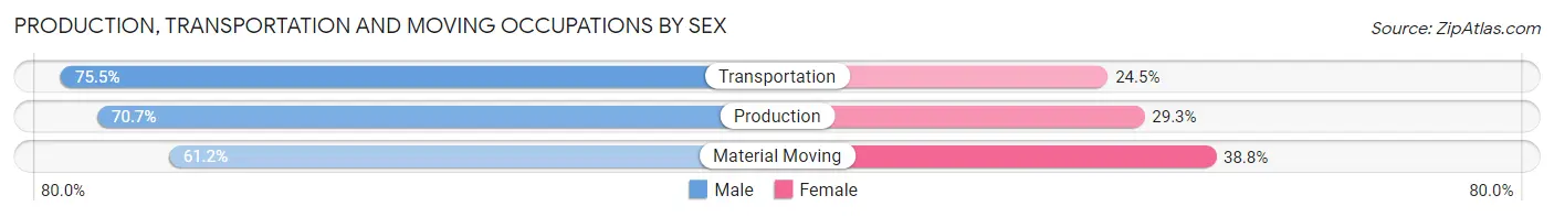 Production, Transportation and Moving Occupations by Sex in Zip Code 87401