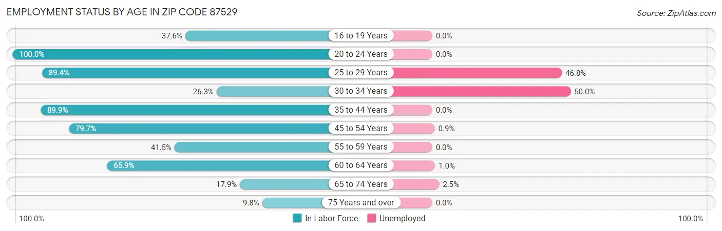 Employment Status by Age in Zip Code 87529