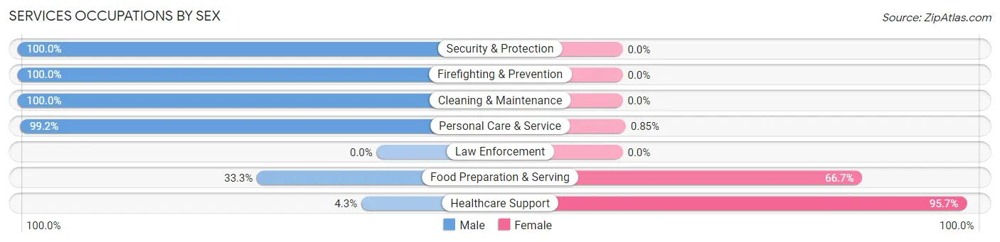 Services Occupations by Sex in Zip Code 87579