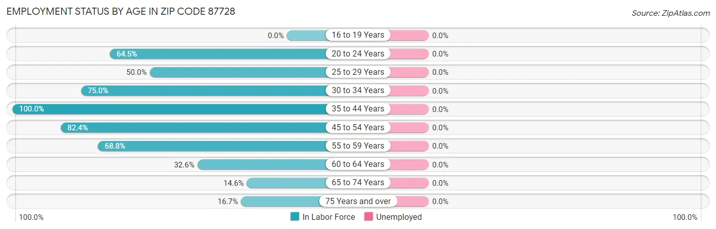 Employment Status by Age in Zip Code 87728