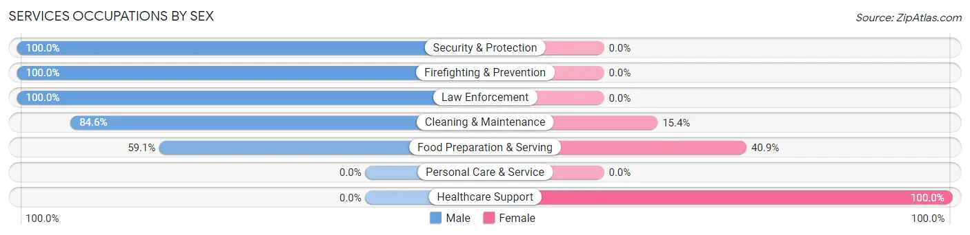 Services Occupations by Sex in Zip Code 87728