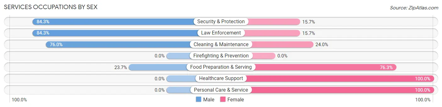 Services Occupations by Sex in Zip Code 87740