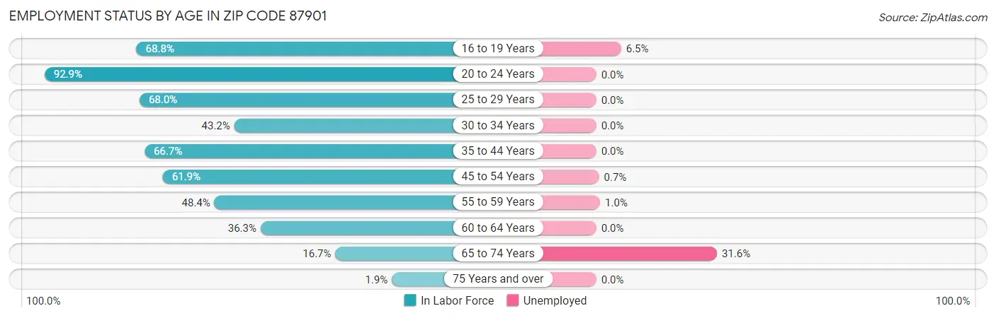 Employment Status by Age in Zip Code 87901