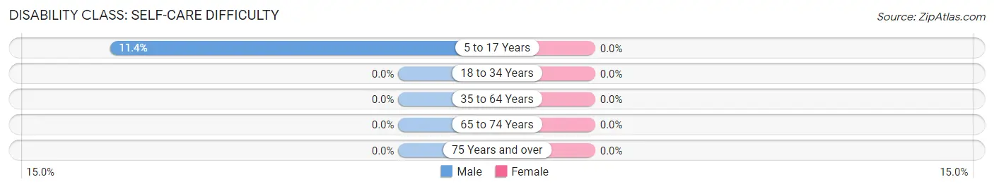 Disability in Zip Code 88029: <span>Self-Care Difficulty</span>