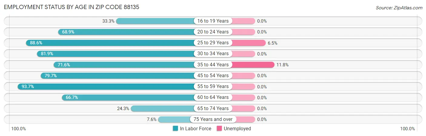 Employment Status by Age in Zip Code 88135