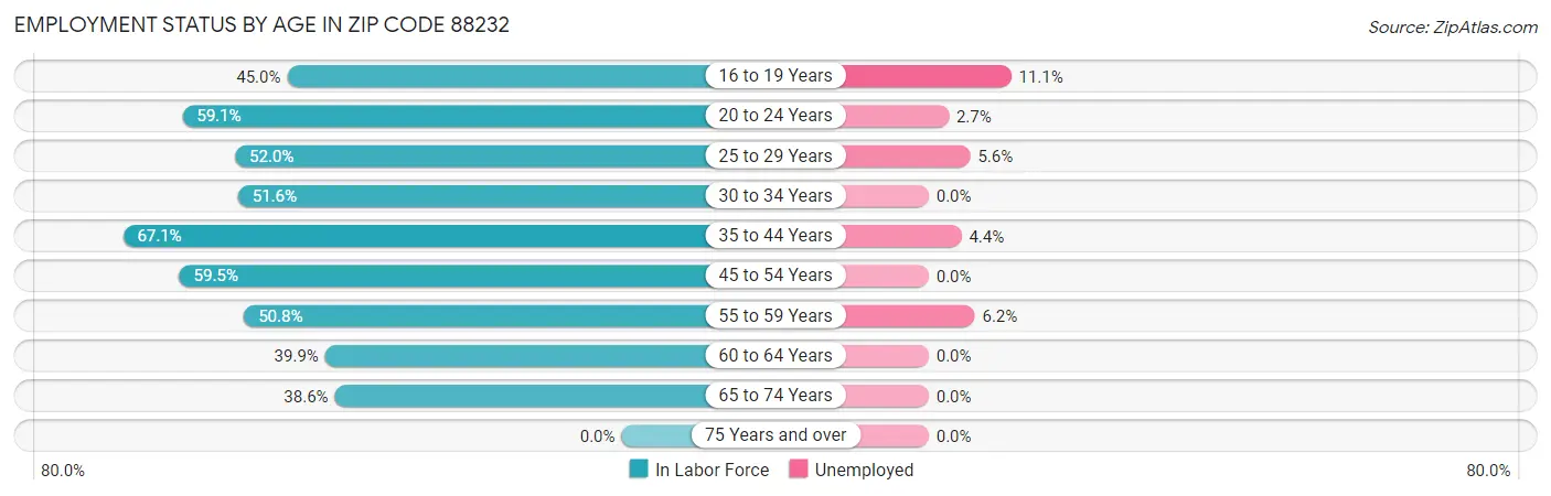 Employment Status by Age in Zip Code 88232