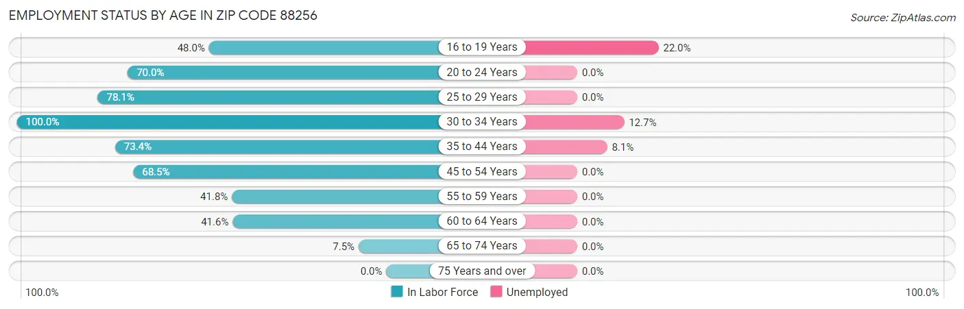 Employment Status by Age in Zip Code 88256