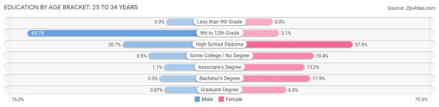 Education By Age Bracket in Zip Code 88401: 25 to 34 Years