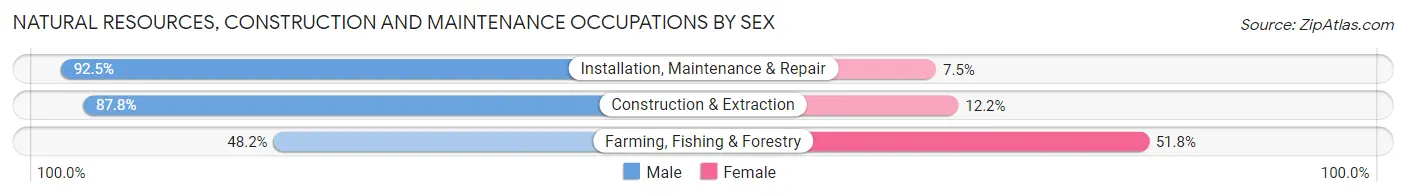 Natural Resources, Construction and Maintenance Occupations by Sex in Zip Code 98225