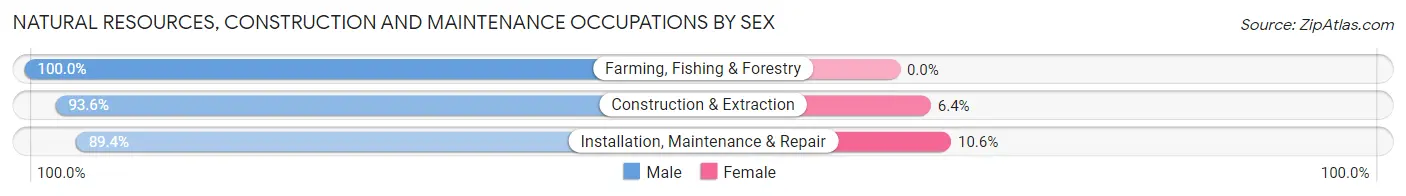 Natural Resources, Construction and Maintenance Occupations by Sex in Zip Code 98371