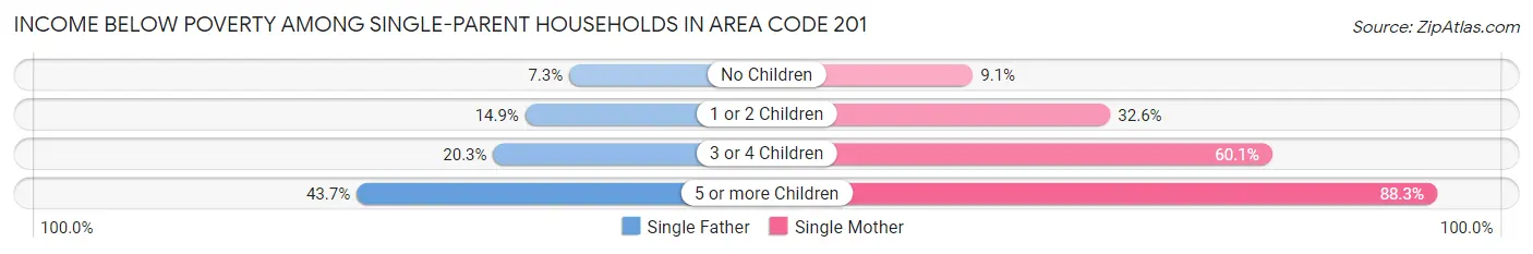 Income Below Poverty Among Single-Parent Households in Area Code 201