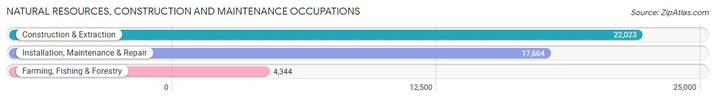 Natural Resources, Construction and Maintenance Occupations in Area Code 217