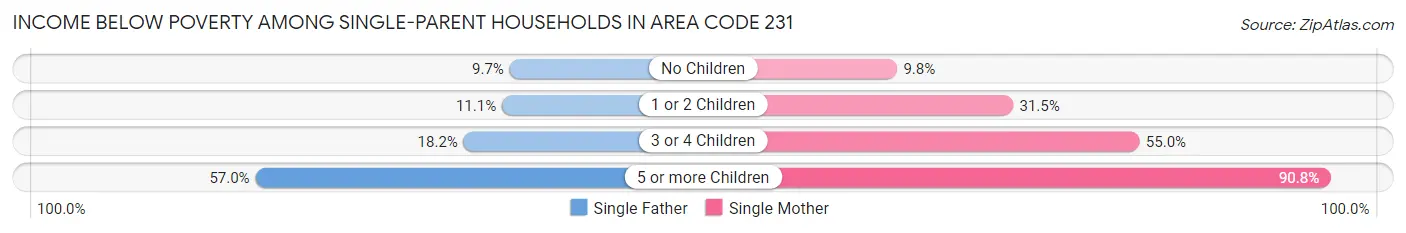 Income Below Poverty Among Single-Parent Households in Area Code 231