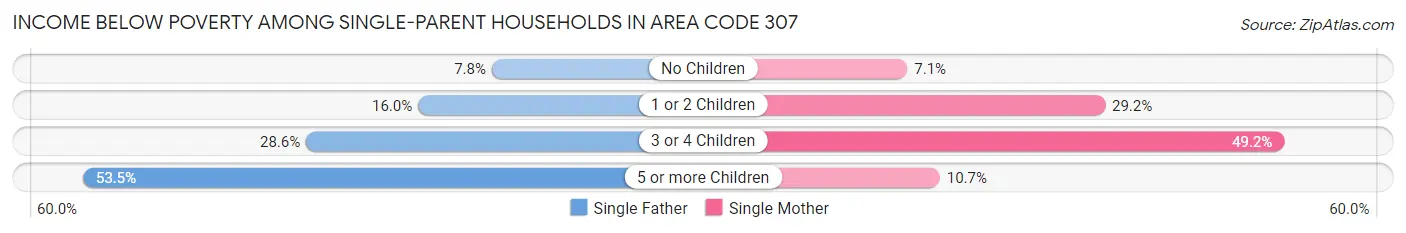 Income Below Poverty Among Single-Parent Households in Area Code 307