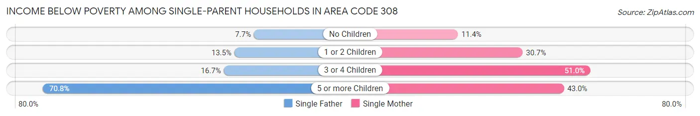 Income Below Poverty Among Single-Parent Households in Area Code 308