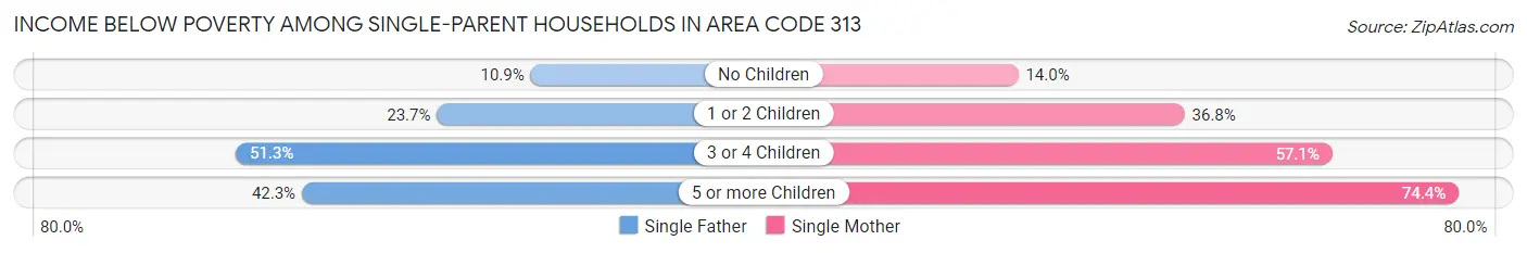 Income Below Poverty Among Single-Parent Households in Area Code 313