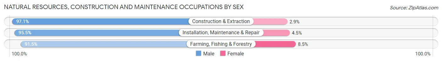 Natural Resources, Construction and Maintenance Occupations by Sex in Area Code 325