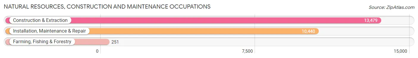 Natural Resources, Construction and Maintenance Occupations in Area Code 346