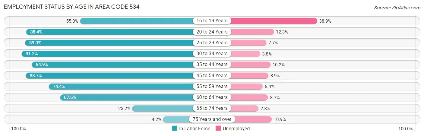 Employment Status by Age in Area Code 534
