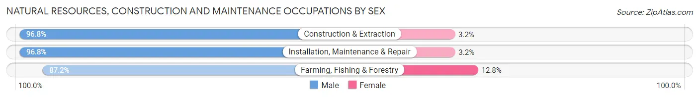 Natural Resources, Construction and Maintenance Occupations by Sex in Area Code 580