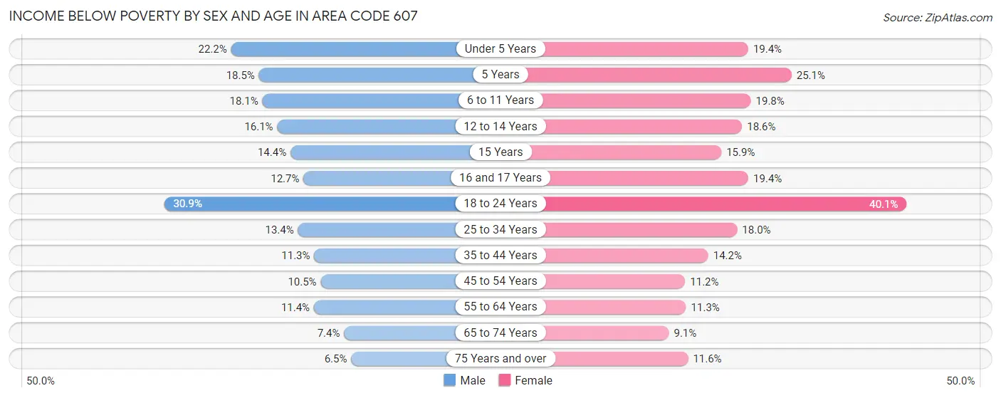 Income Below Poverty by Sex and Age in Area Code 607