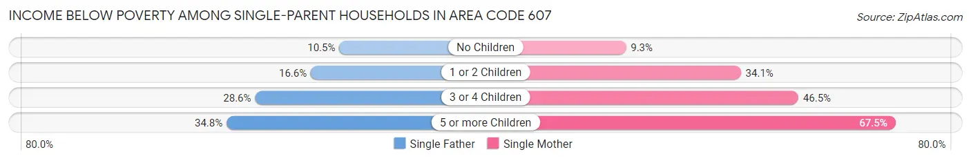 Income Below Poverty Among Single-Parent Households in Area Code 607