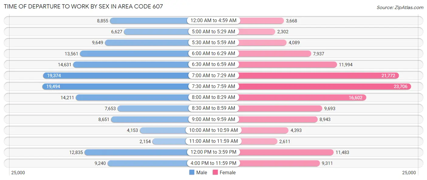 Time of Departure to Work by Sex in Area Code 607