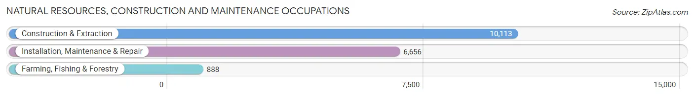 Natural Resources, Construction and Maintenance Occupations in Area Code 612