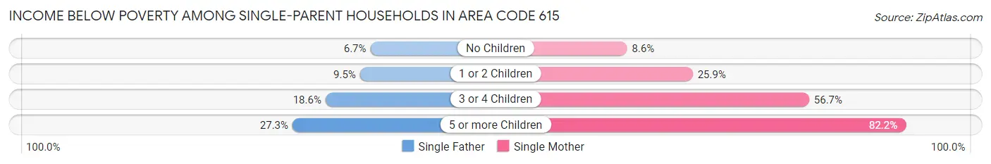 Income Below Poverty Among Single-Parent Households in Area Code 615