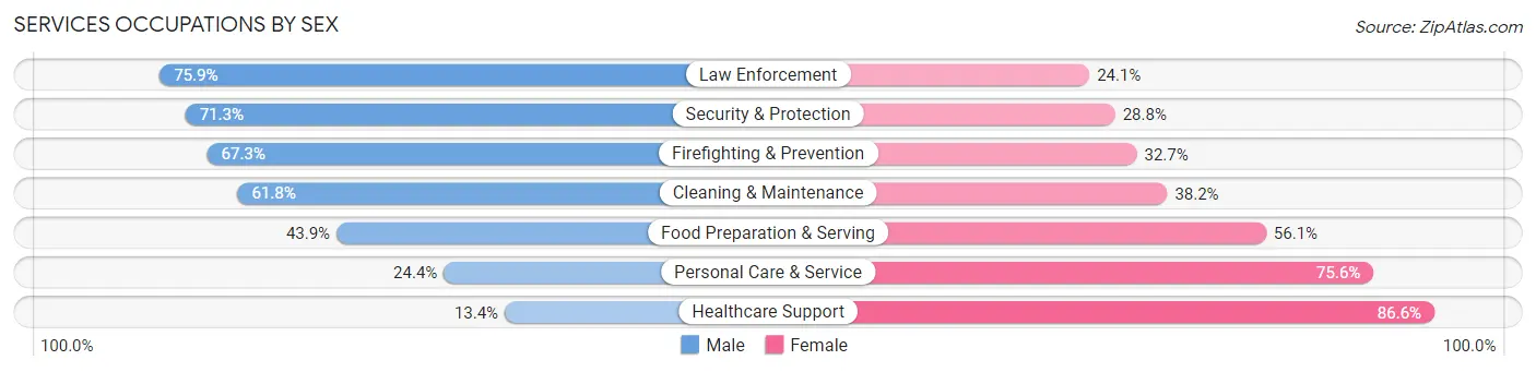 Services Occupations by Sex in Area Code 804