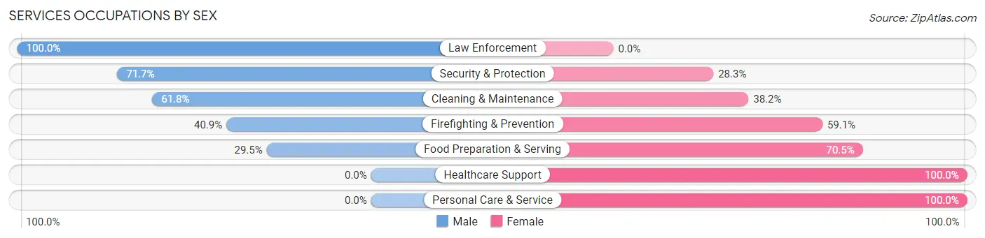 Services Occupations by Sex in Area Code 938