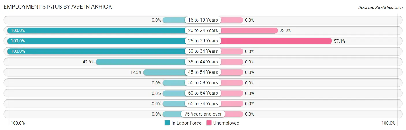 Employment Status by Age in Akhiok