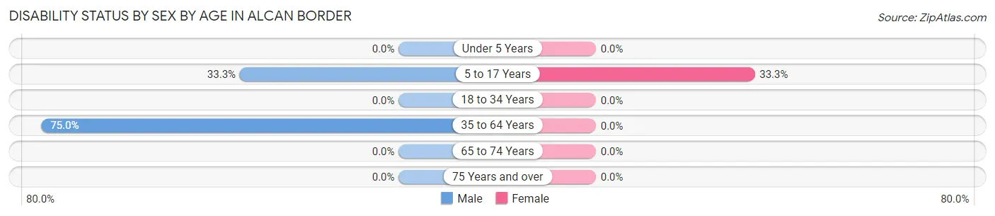 Disability Status by Sex by Age in Alcan Border