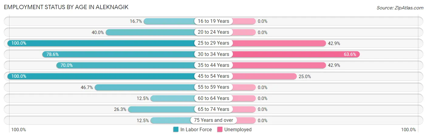 Employment Status by Age in Aleknagik