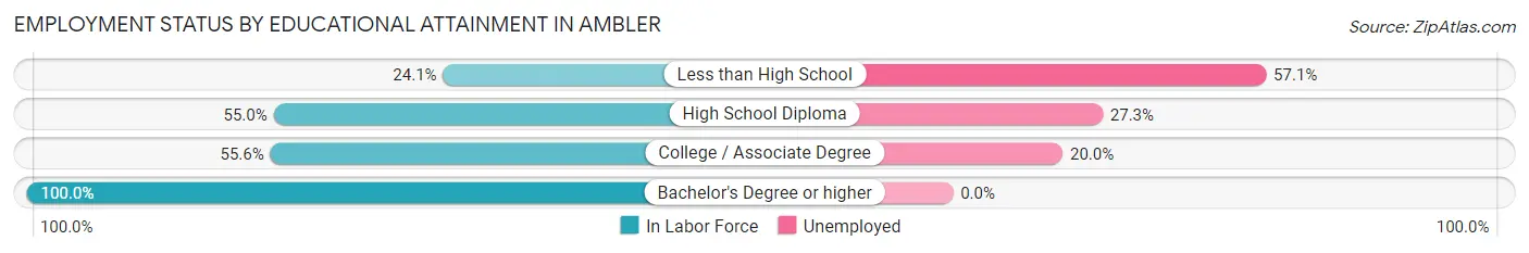 Employment Status by Educational Attainment in Ambler