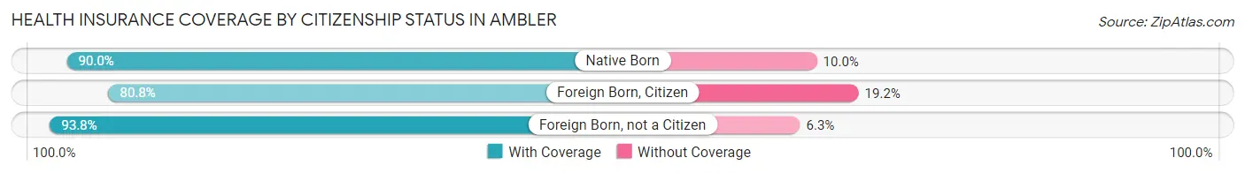 Health Insurance Coverage by Citizenship Status in Ambler
