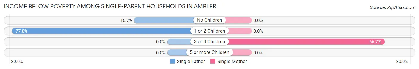 Income Below Poverty Among Single-Parent Households in Ambler