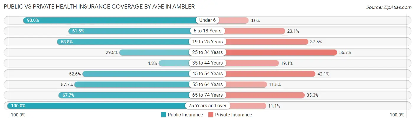 Public vs Private Health Insurance Coverage by Age in Ambler