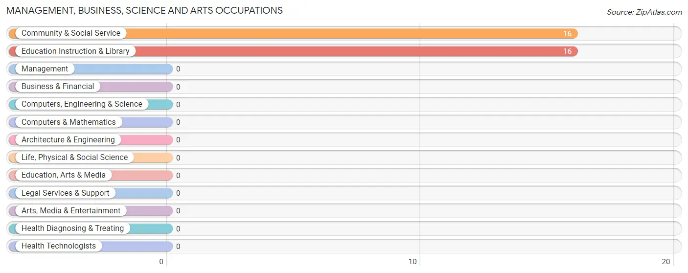 Management, Business, Science and Arts Occupations in Anaktuvuk Pass