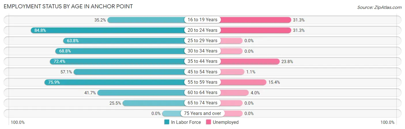 Employment Status by Age in Anchor Point