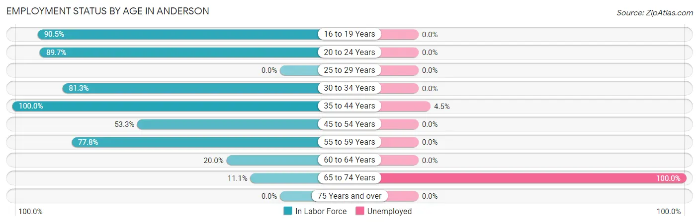 Employment Status by Age in Anderson