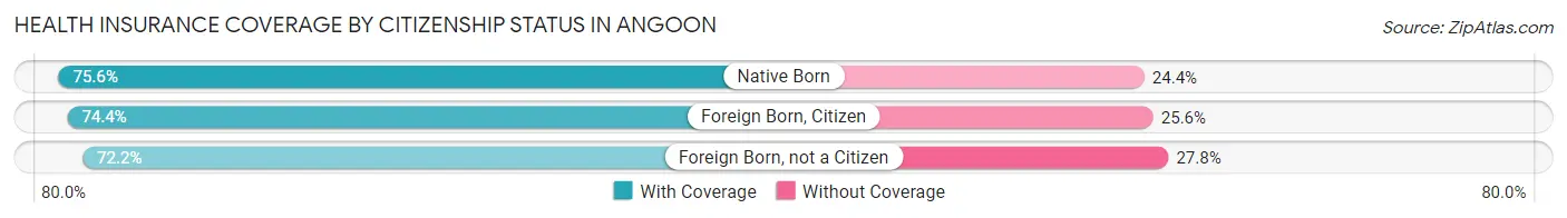 Health Insurance Coverage by Citizenship Status in Angoon